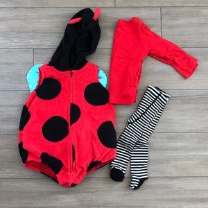 Lady bug costume